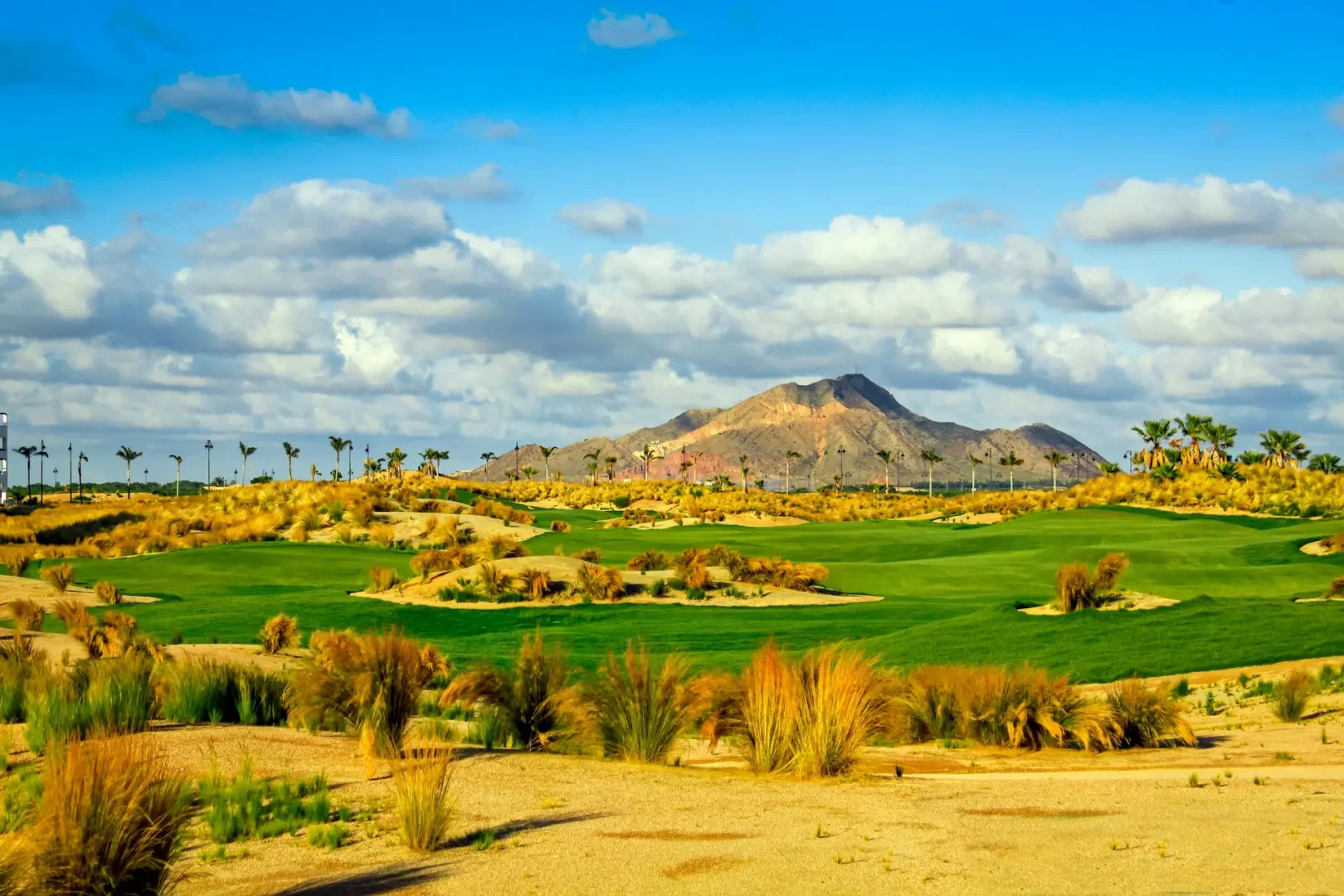 Saurines de la Torre Golf